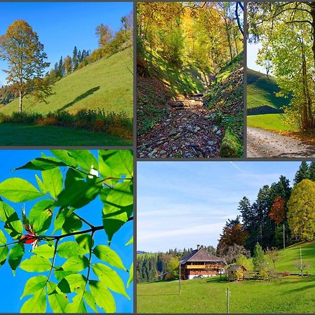 Emmental Ferien Apartman Langnau Kültér fotó