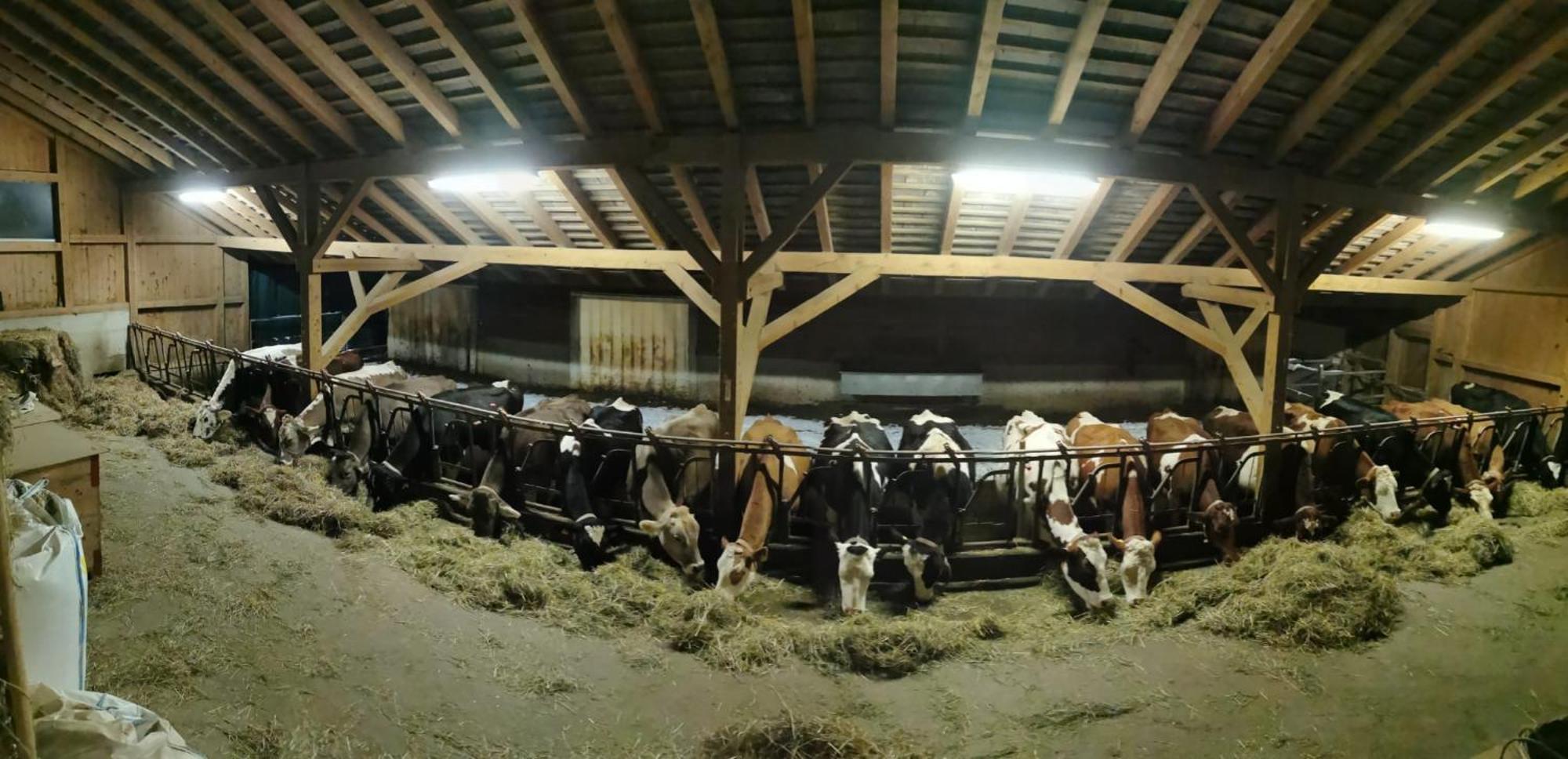 Emmental Ferien Apartman Langnau Kültér fotó