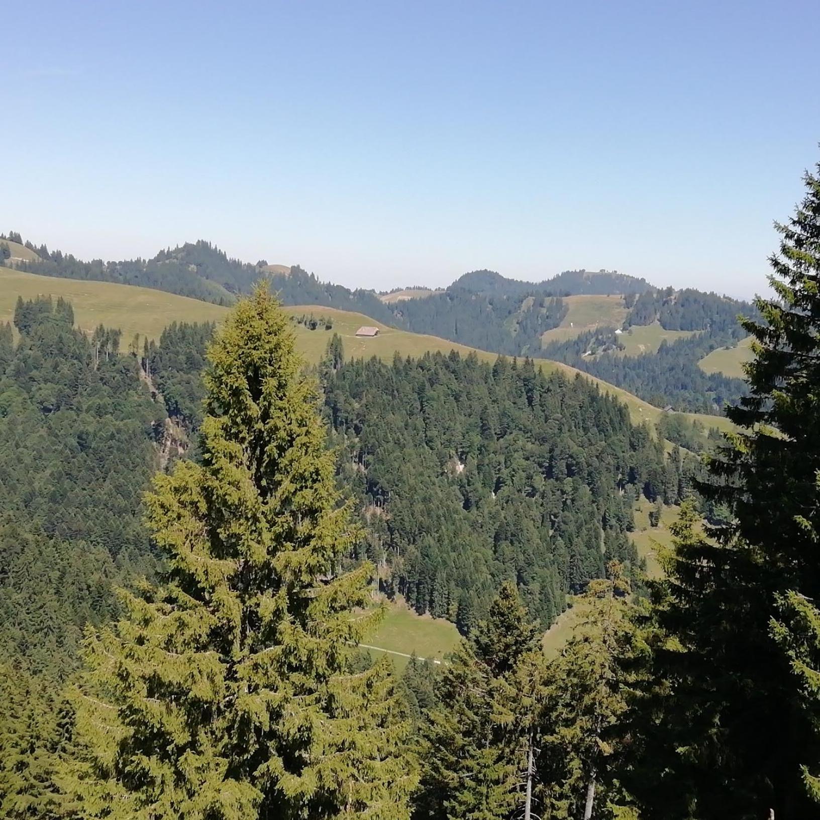 Emmental Ferien Apartman Langnau Kültér fotó