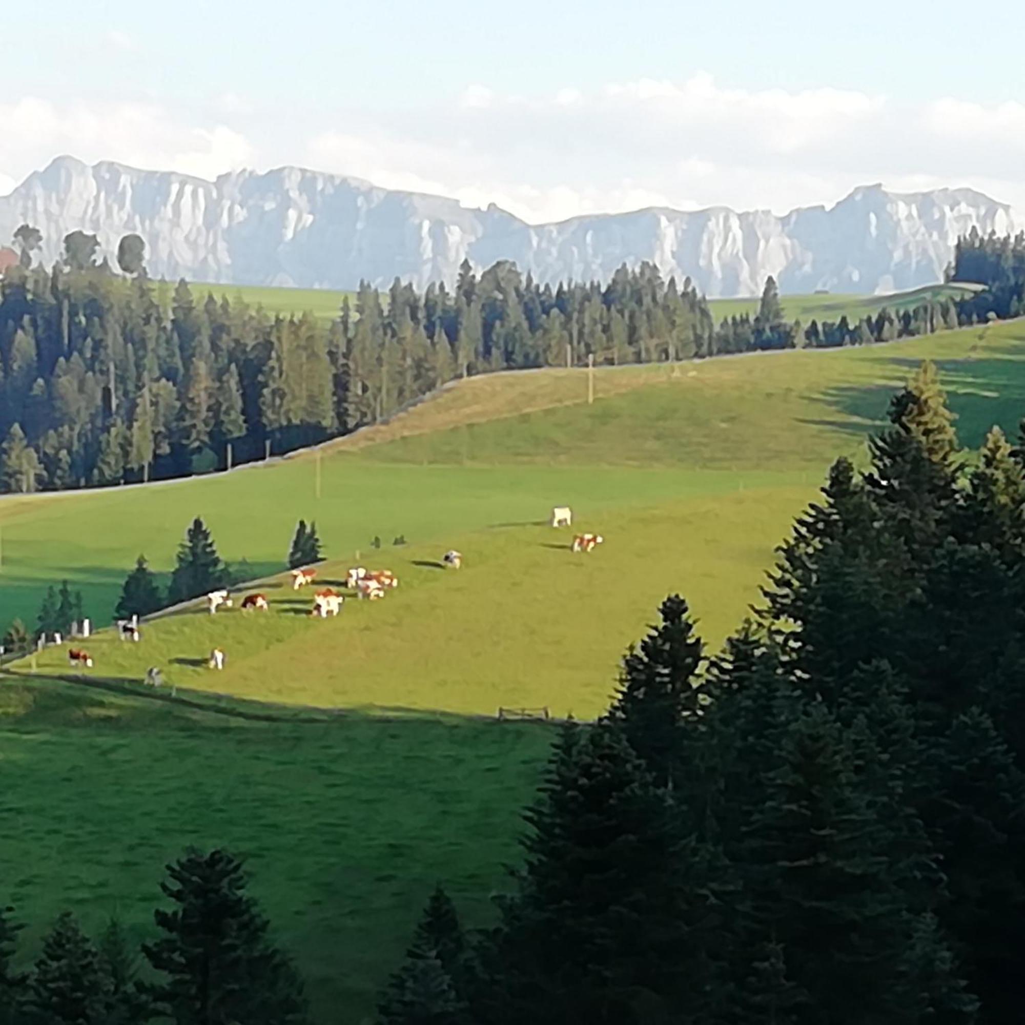 Emmental Ferien Apartman Langnau Kültér fotó