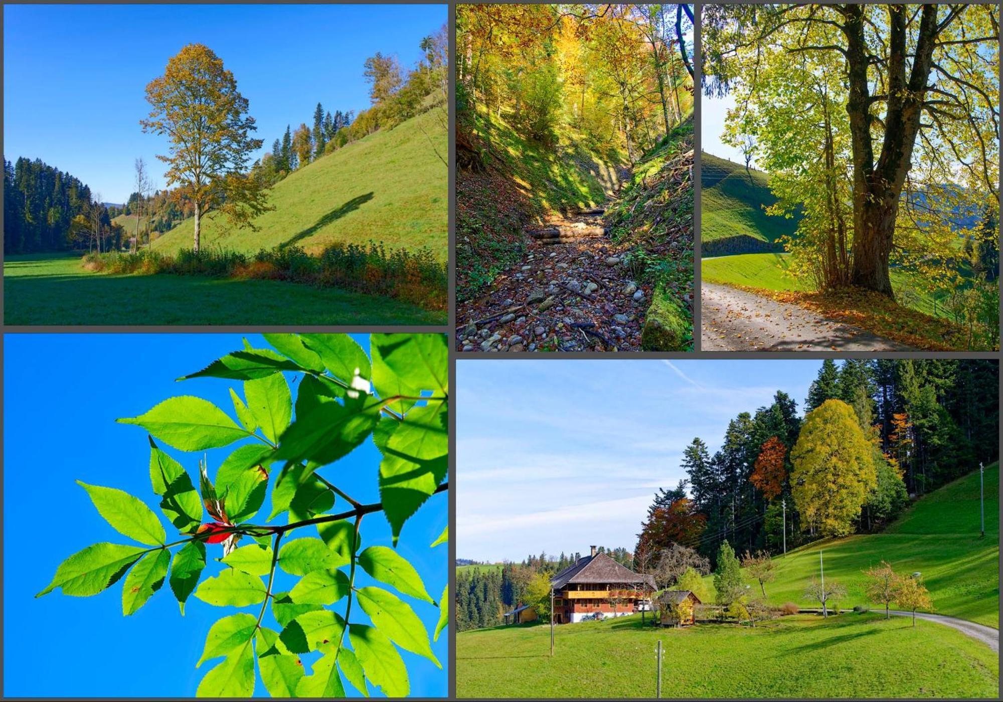 Emmental Ferien Apartman Langnau Kültér fotó