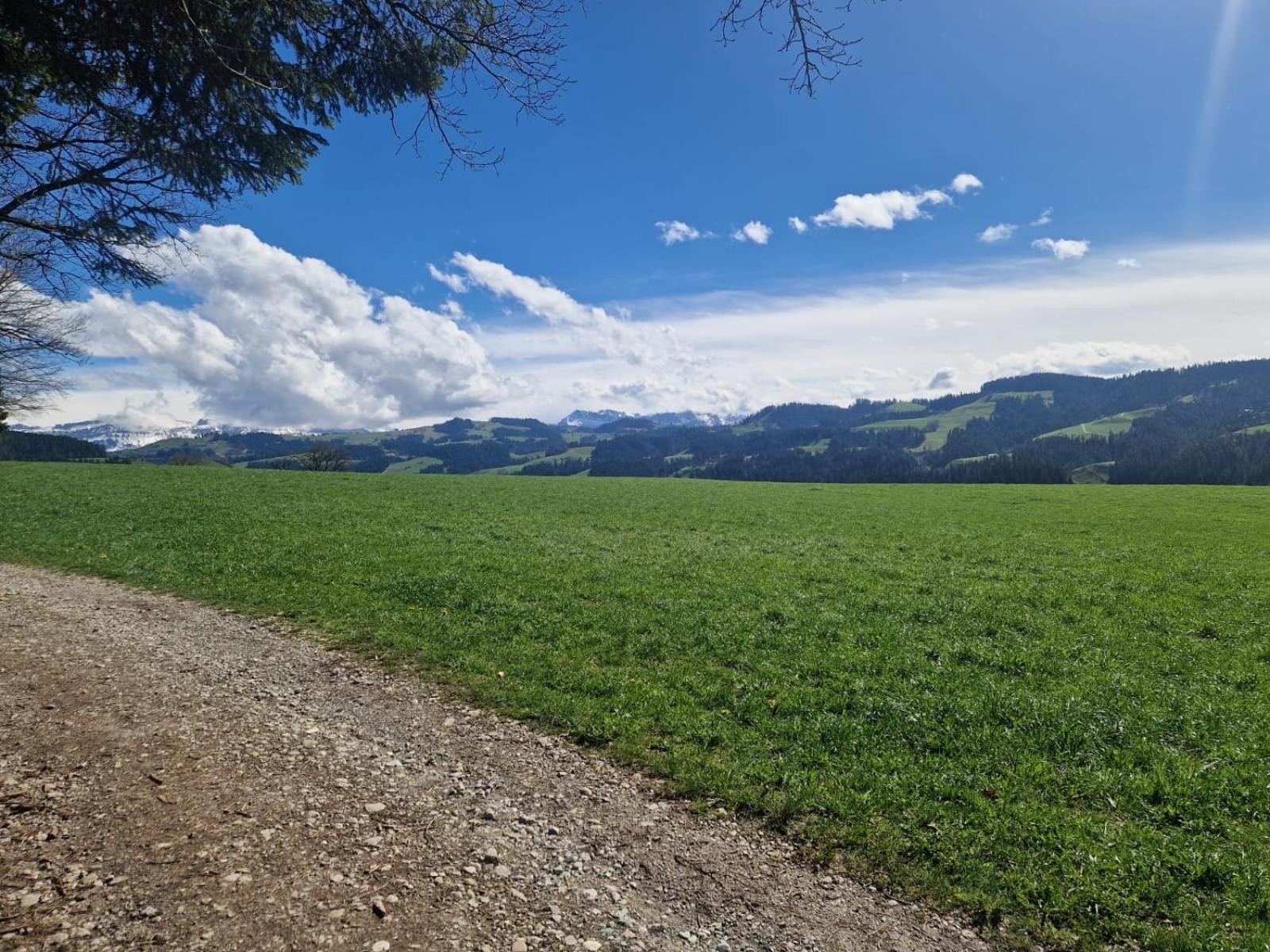Emmental Ferien Apartman Langnau Kültér fotó